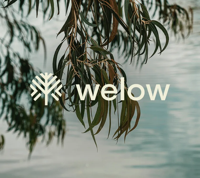 Welow